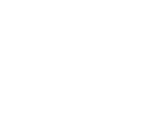 Temporary Logo